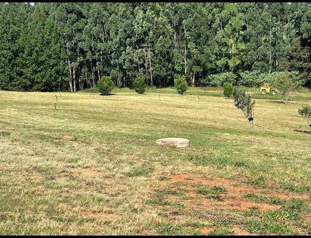 LAND FOR SALE IN DARGLE